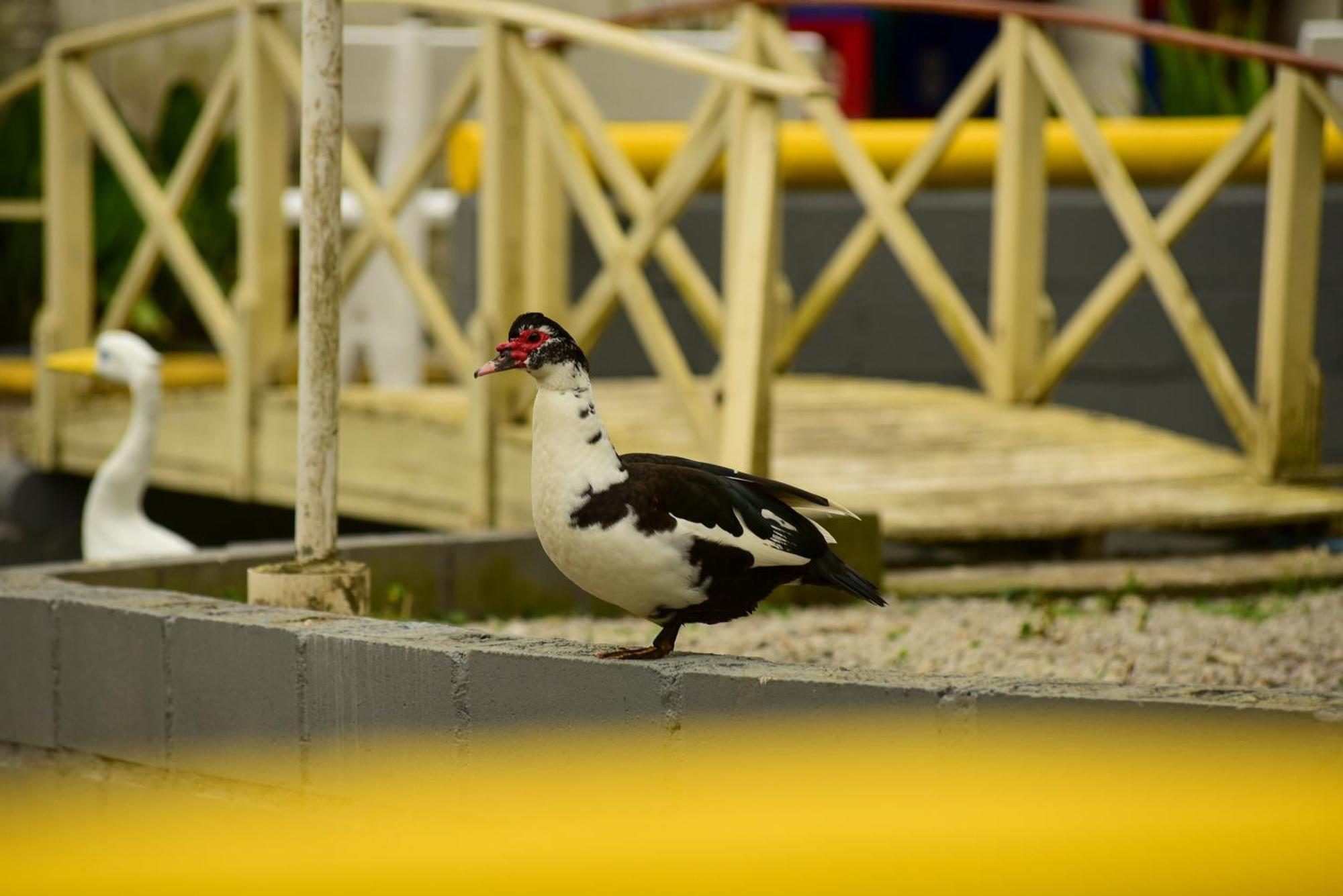 Pousada Chacara Rio Jordao Florianopolis Luaran gambar